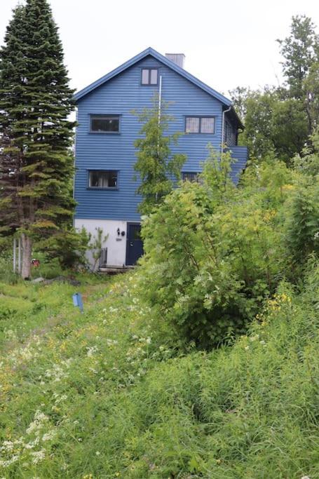 Villa Cozy Family House à Tromsø Extérieur photo